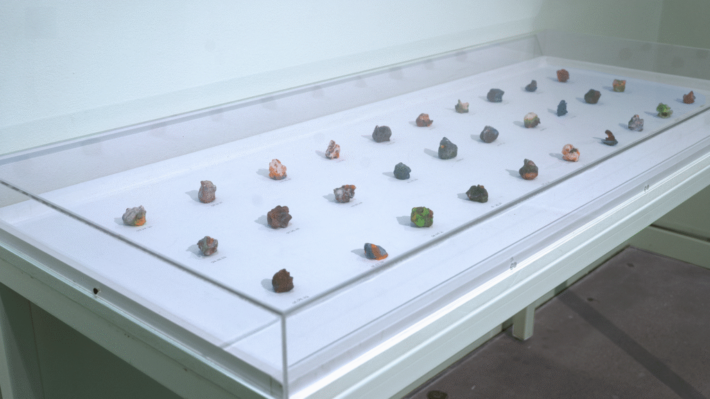 Install detail photo taken from above the front left corner of the clear plexi museum display case housing thirty 3D-printed hard candies that sit atop a white wooden surface accompanied by individual hand-written dates marking the date of each candy's modeling. The candies, greatly varying in shape and color, are roughly the volume of large gumballs and the consistency of condensed sugar.