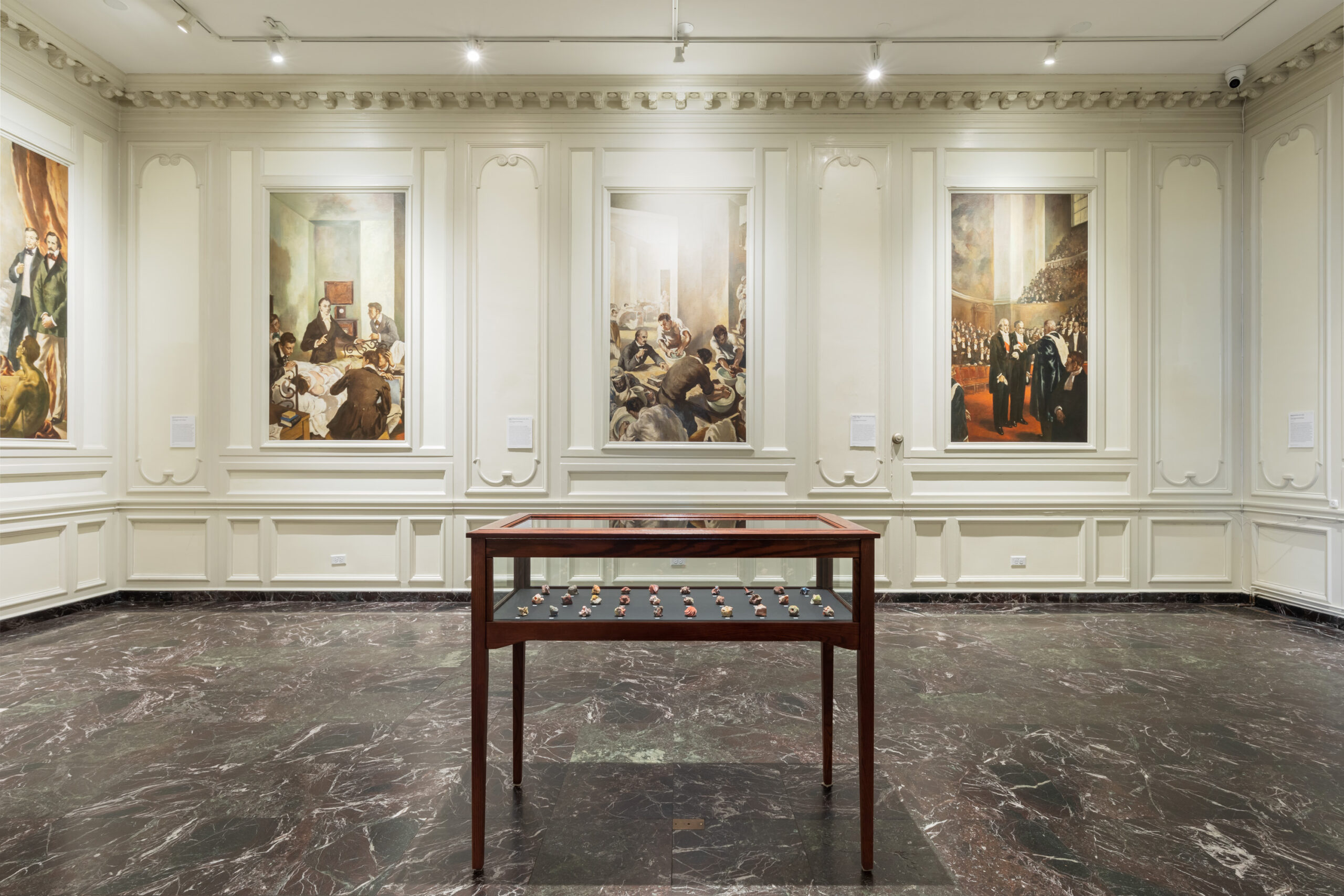 a medium-wide angle photo in a large off-white room with ornate molding and 4 visible vertically-oriented murals displaying different scenes from medical history like autopsies, deliveries, and academies. A sleek wooden display case with clear glass panels rests in the center of the grand room atop a black, white and green marble stone floor. Inside the display case rests 30 small 3d-printed candies in a variety of colors.