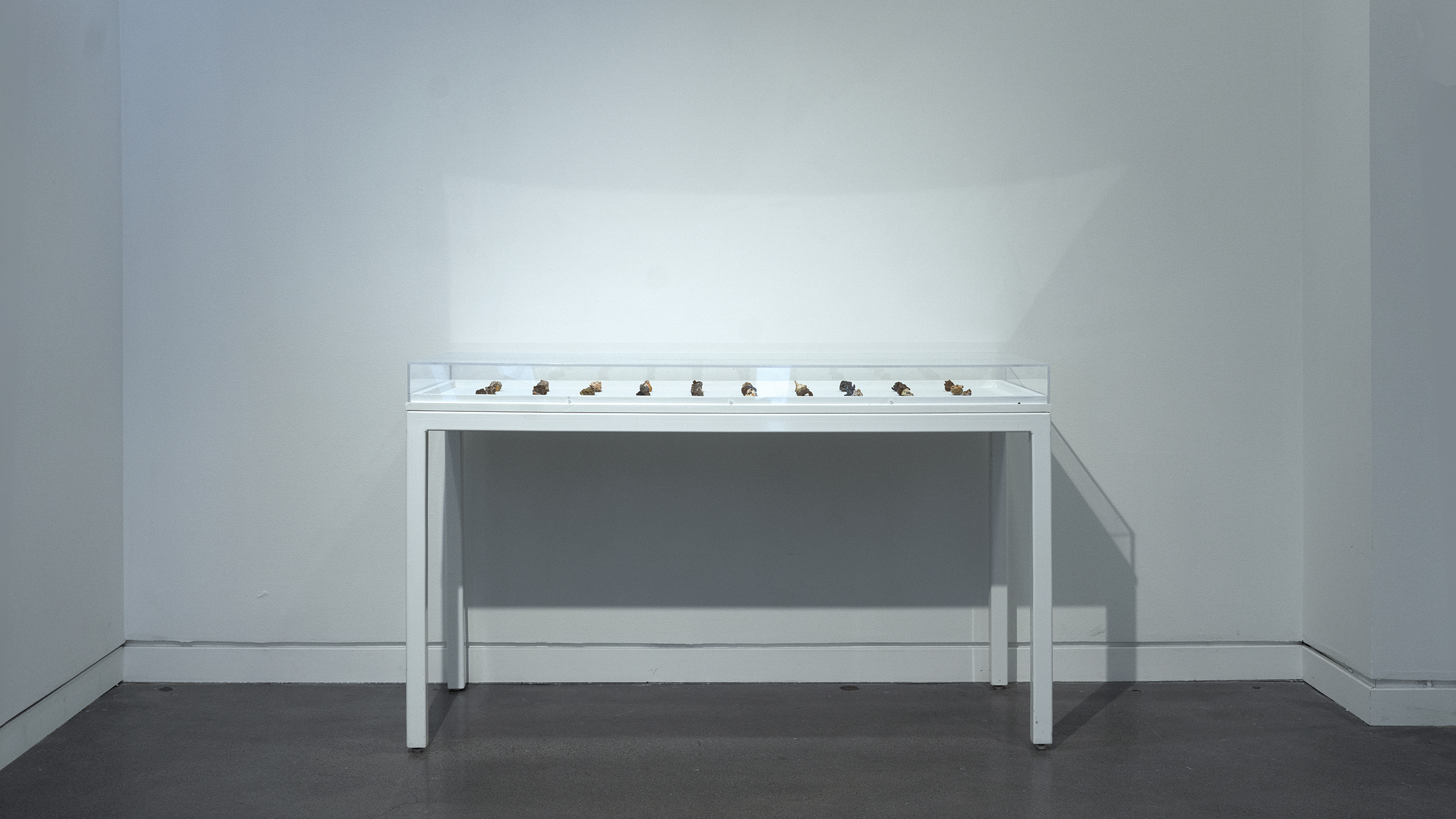 Wide angle install photo of a museum a white museum display case with a plexi top backed up against a white wall. Several of the thirty 3D-printed candies from the series are visible as small geodes of color.