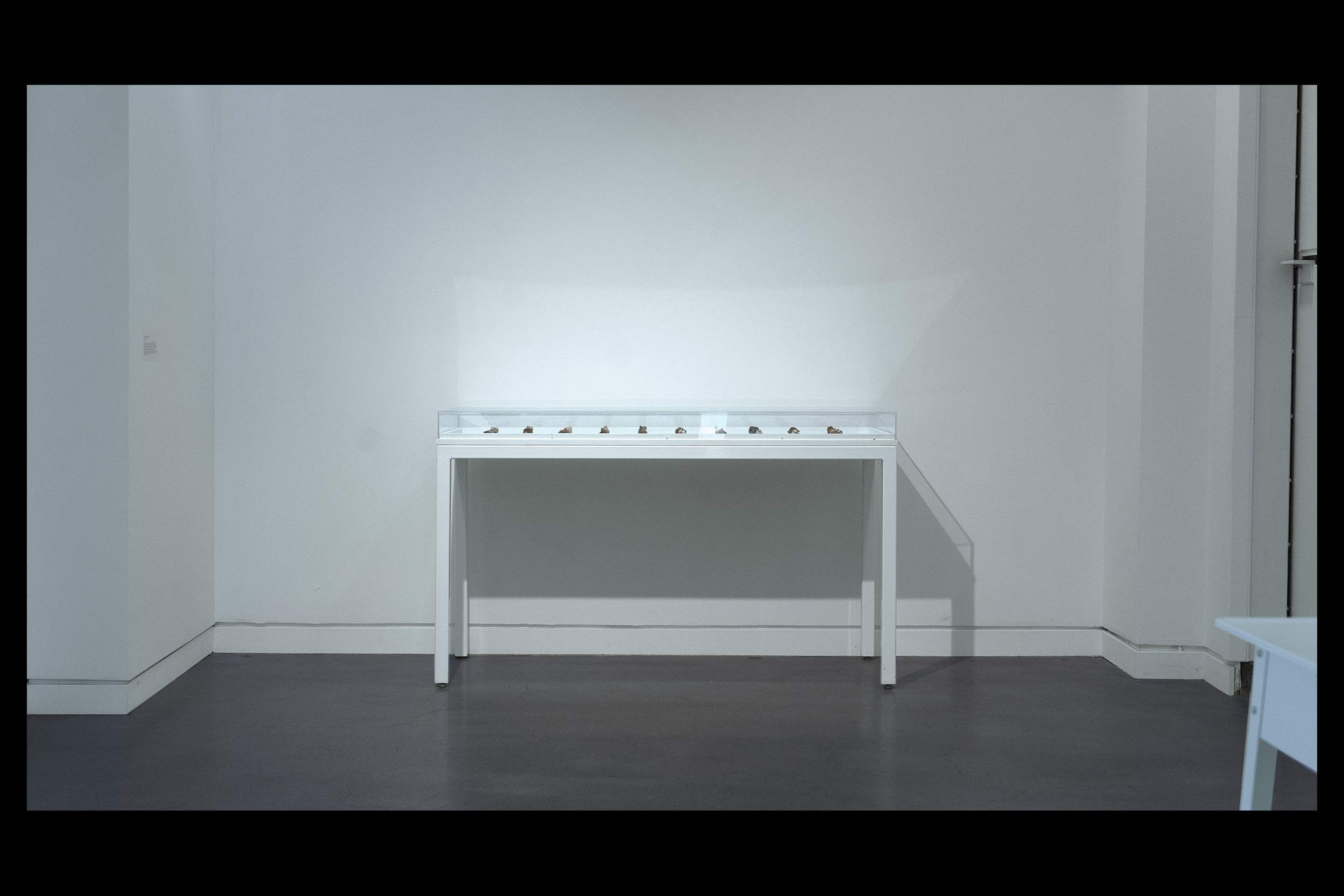 Wide angle install photo of a museum a white museum display case with a plexi top backed up against a white wall. Several of the thirty 3D-printed candies from the series are visible as small geodes of color.